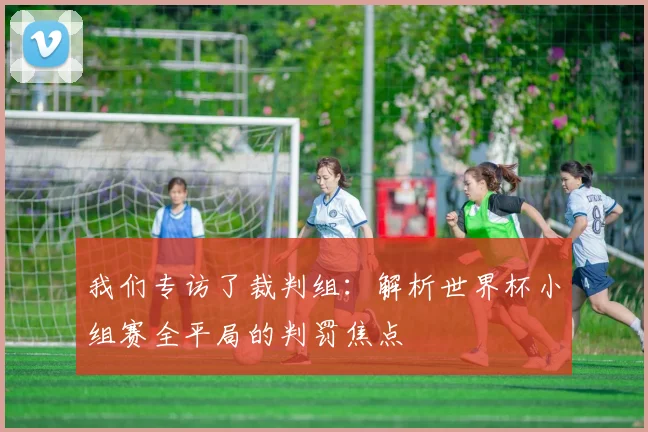 我们专访了裁判组：解析世界杯小组赛全平局的判罚焦点