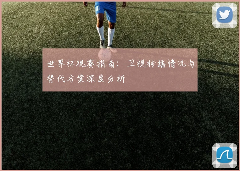 世界杯观赛指南：卫视转播情况与替代方案深度分析