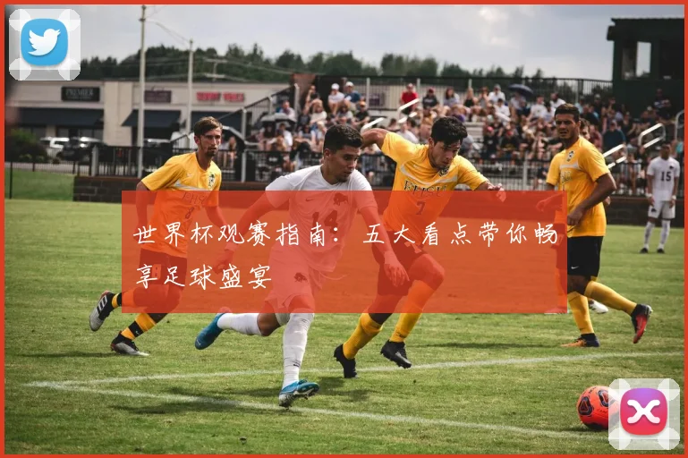 世界杯观赛指南：五大看点带你畅享足球盛宴