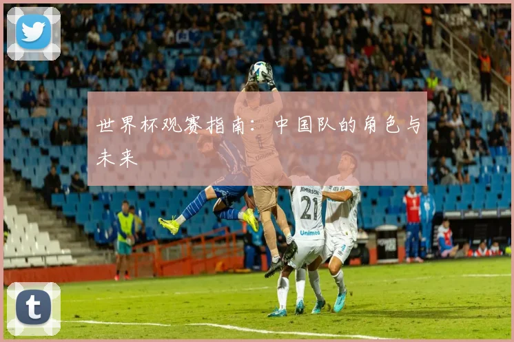 世界杯观赛指南：中国队的角色与未来