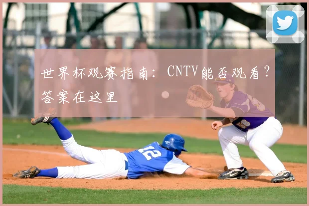 世界杯观赛指南：CNTV能否观看？答案在这里