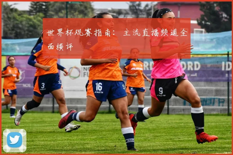 世界杯观赛指南：主流直播频道全面横评