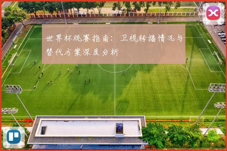 世界杯观赛指南：卫视转播情况与替代方案深度分析