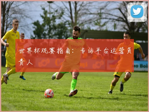 世界杯观赛指南：专访平台运营负责人
